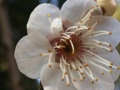 -白塘生态植物园