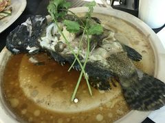 -盒马鲜生(大成店)