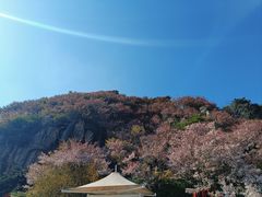 -泰山风景名胜区