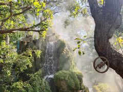 -Chom Cafe and Restaurant