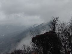 -灵顺寺