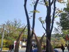 -云溪植物园