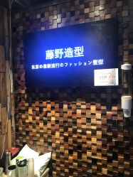 点击看大图 -藤野造型