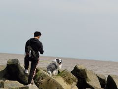 -南汇嘴观海公园