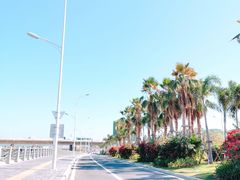 -海堤纪念公园
