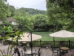 -杭州花家山庄