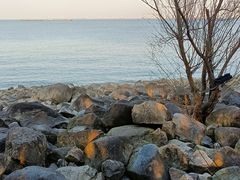 -上海吴淞炮台湾国家湿地公园