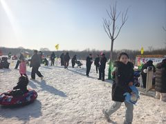 -西青郊野公园