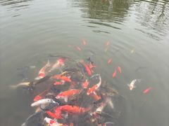 -天目湖涵田半山温泉水乐园