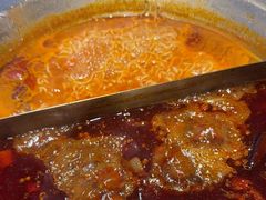 -楠火锅(哈尔滨金爵万象店)