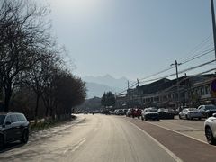 -都江堰石锅鱼