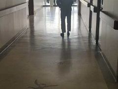 -浙江省中医院(湖滨院区)