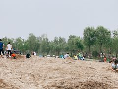 -东郊湿地公园