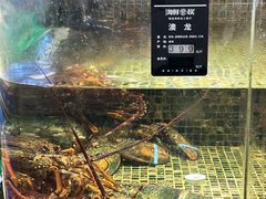 -海鲜e族(马王堆店)