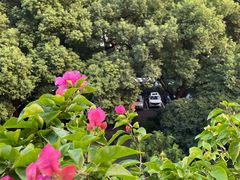 -杭州香格里拉·香宫中餐厅