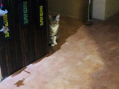 -逃脱反斗城沉浸剧情密室(北京路店)