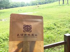 -良渚古城遗址公园