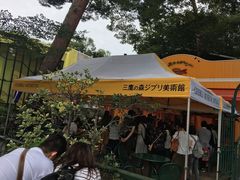 -三鹰之森吉卜力美术馆