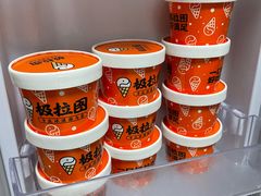 -极拉图·现制冰淇淋(大卫城店)