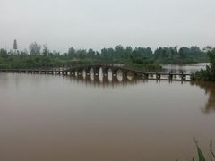 android_upload_pic-西昌邛海湿地