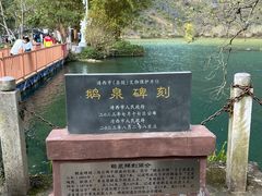 -靖西鹅泉风景区