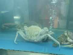 -阳光码头海鲜火锅(玉立路店)