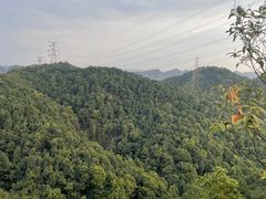 -南山植物园