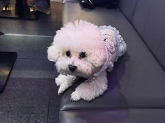 -金陵暴走龙虾·烧烤·排档(南京总店)