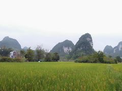 -靖西鹅泉风景区