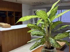 -深圳海景嘉途酒店(东翼楼)