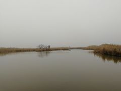 -盐城丹顶鹤湿地生态旅游区