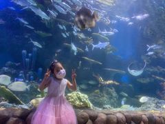 -华夏文旅海洋公园