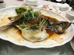 -北海渔村酒楼·粤菜海鲜点心(新华店)