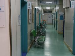 -北京观赏动物医院·24小时大型综合·猫专科·异宠专科