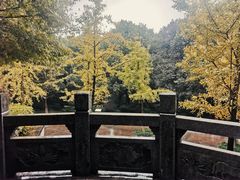 -杭州半山国家森林公园