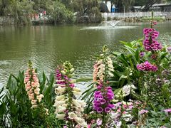 -人民公园(罗湖区)