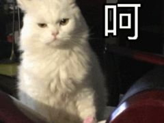 -玺尊龙·云岭四季(西南店)