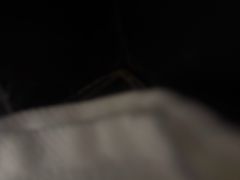 -广州白天鹅宾馆