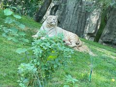 -北京野生动物园
