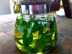 -紫海香堤香草艺术庄园