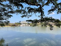 -江心屿景区