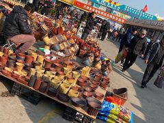 -中环花鸟鱼虫市场