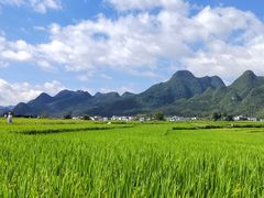 -万峰林风景区