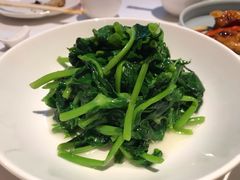 五粮液嫩豆苗-玫瑰厅上海菜(兴国路店)