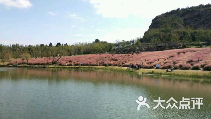 大陽山國家森林公園-圖片-蘇州周邊遊-大眾點評網