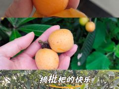 -郴州特产舜华临武鸭(郴州西站店)