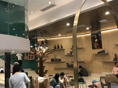 -飞行喵MR PILOT|猫舍·猫咖(静安大融城店)