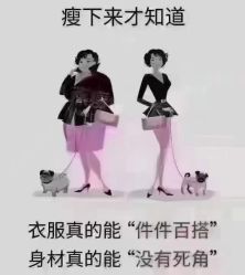 -香薇妮丝女子减肥院