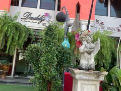 -Daddy Nimman Chiang Mai