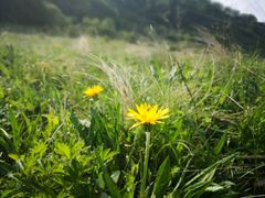 -白草畔自然风景区